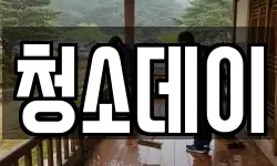 청소데이
