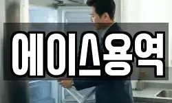 에이스용역