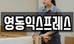영동익스프레스