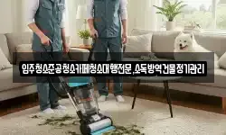 입주청소준공청소카페청소대행전문,소독방역건물정기관리