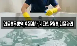 강원 동해시 초구동 청소,입주청소,사무실청소,에어컨청소