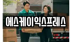 에스케이익스프레스