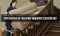 고양이강아지보호소유기묘요양원유기동물파양유기견보호센터쉼터