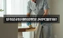 입주청소준공청소카페청소대행전문,소독방역건물정기관리