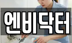 엔비닥터