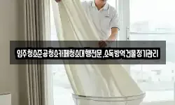 입주청소준공청소카페청소대행전문,소독방역건물정기관리