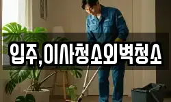 입주,이사청소외벽청소