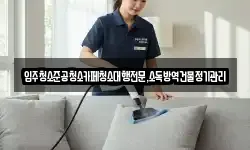입주청소준공청소카페청소대행전문,소독방역건물정기관리