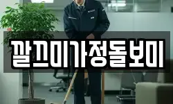 깔끄미가정돌보미