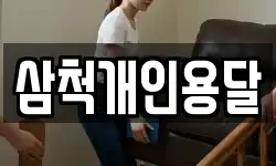 삼척개인용달