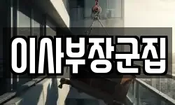 이사부장군집