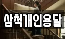 삼척개인용달
