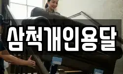 삼척개인용달