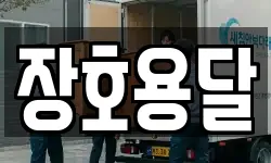 장호용달