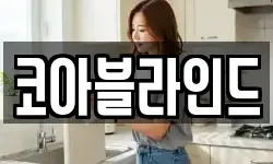 강원 삼척시 적노동 청소,입주청소,사무실청소,에어컨청소