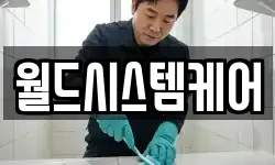 월드시스템케어
