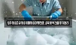 입주청소준공청소카페청소대행전문,소독방역건물정기관리