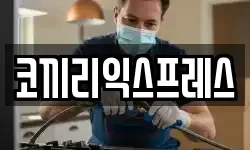 코끼리익스프레스