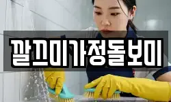 깔끄미가정돌보미