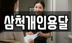 삼척개인용달
