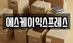 에스케이익스프레스