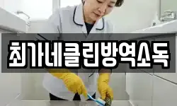 최가네클린방역소독