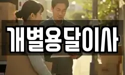 개별용달이사