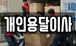 개인용달이사