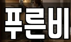 강원 속초시 금호동 청소,입주청소,사무실청소,에어컨청소