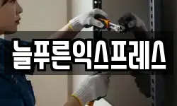 늘푸른익스프레스