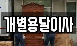 개별용달이사