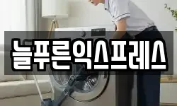 늘푸른익스프레스