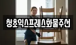 청초익스프레스화물주선