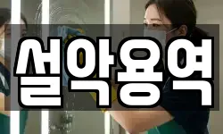 설악용역