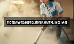입주청소준공청소카페청소대행전문,소독방역건물정기관리