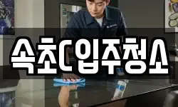 속초C입주청소