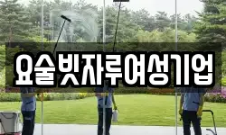 요술빗자루여성기업