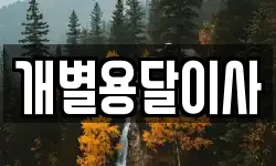 개별용달이사