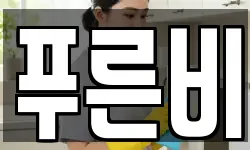 강원 속초시 중앙동 청소,입주청소,사무실청소,에어컨청소