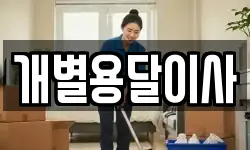개별용달이사