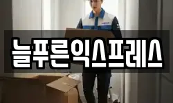 늘푸른익스프레스