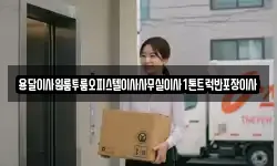 용달이사원룸투룸오피스텔이사사무실이사1톤트럭반포장이사