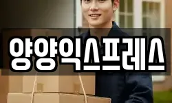 강원 양양군 손양면 이사,용달이사,포장이사,원룸이사,보관이사