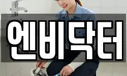 엔비닥터