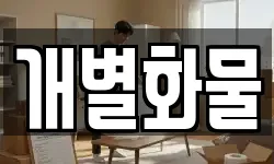 개별화물