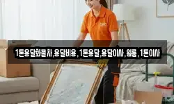 강원 영월군 산솔면 이사,용달이사,포장이사,원룸이사,보관이사