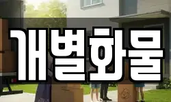 개별화물