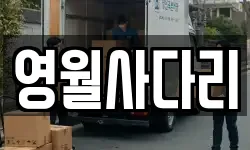 영월사다리
