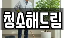청소해드림
