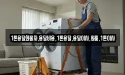 강원 영월군 한반도면 이사,용달이사,포장이사,원룸이사,보관이사
